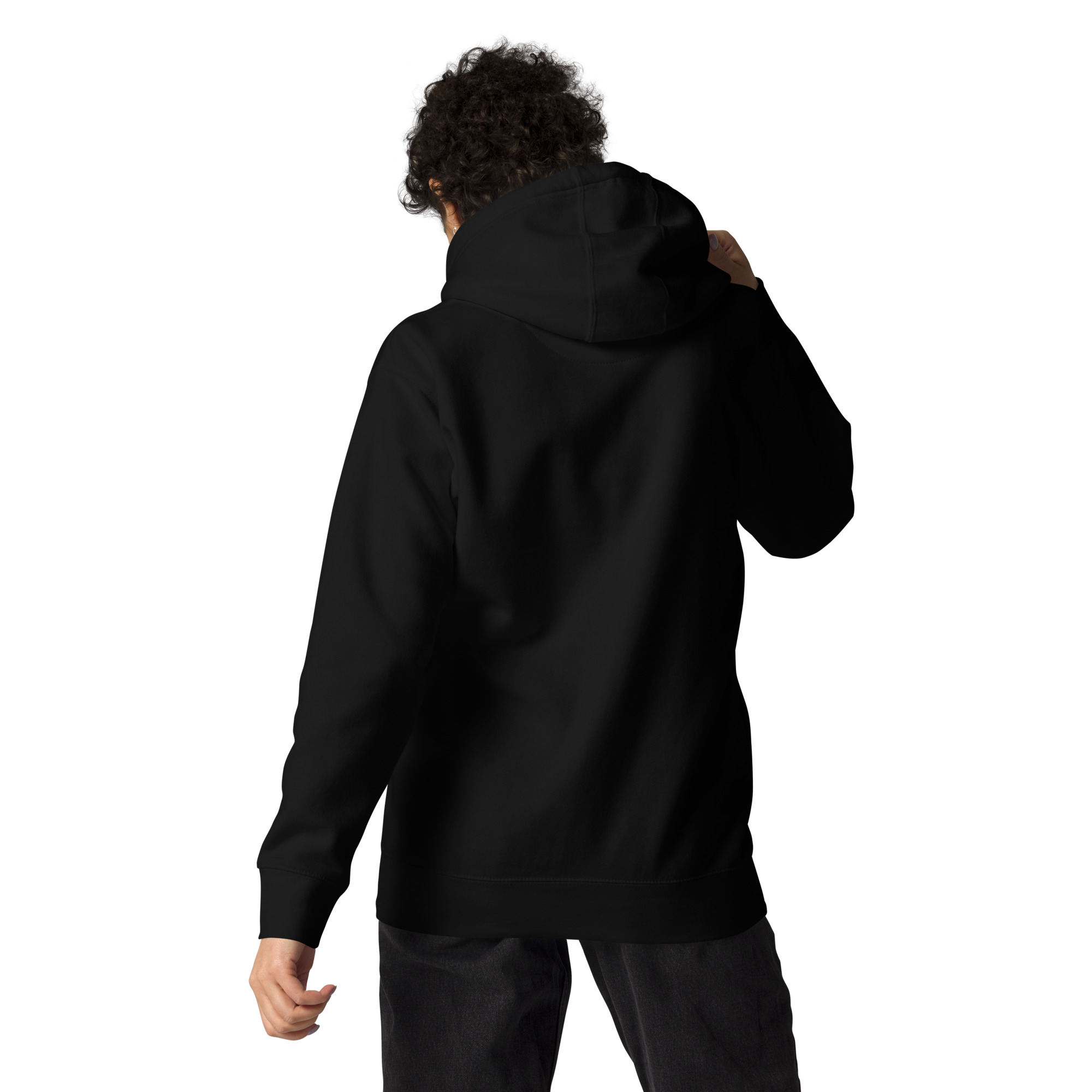 unisex-premium-hoodie-black-back-672bc255d100a.jpg