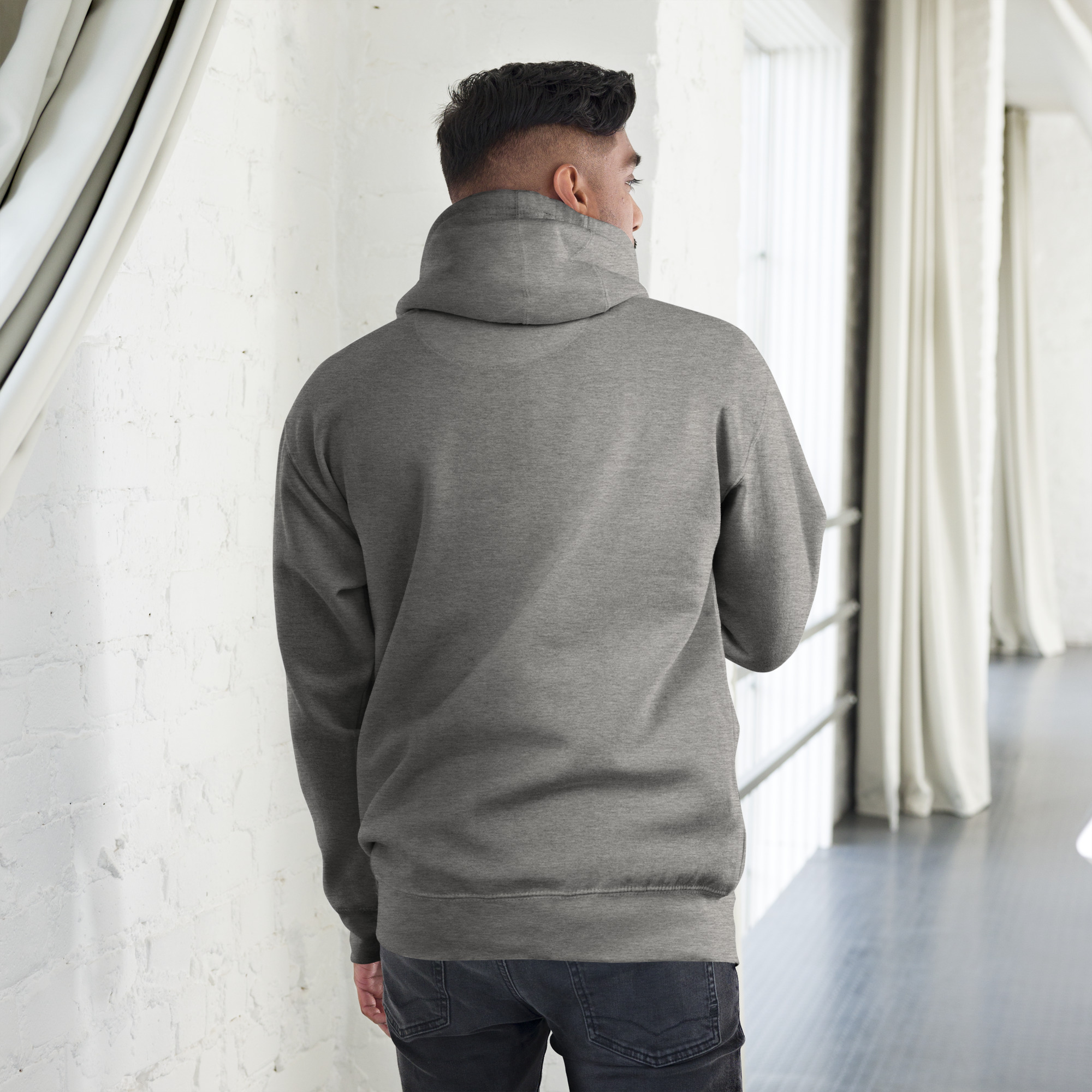 unisex-premium-hoodie-carbon-grey-back-673b08307295e.jpg