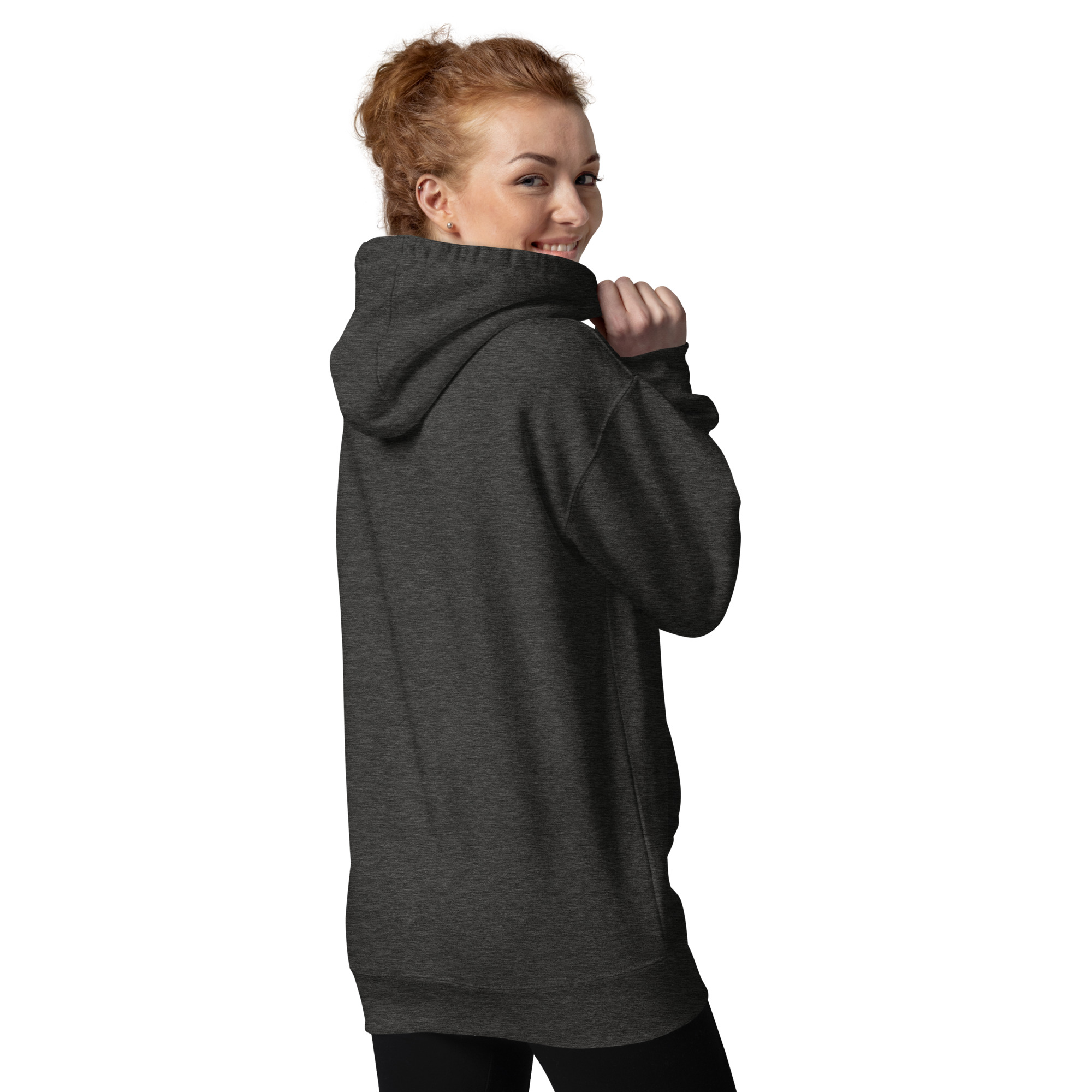 unisex-premium-hoodie-charcoal-heather-back-672bc113a460d.jpg