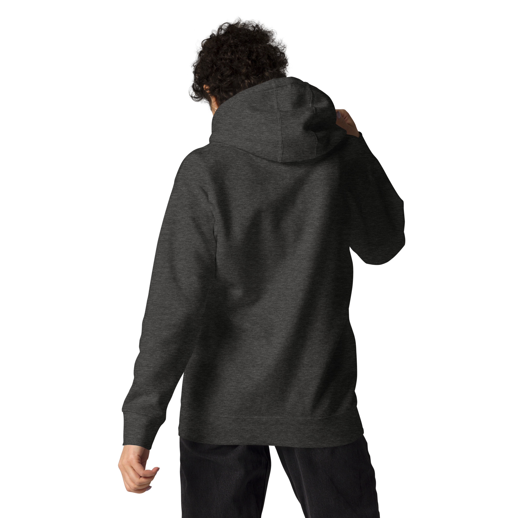 unisex-premium-hoodie-charcoal-heather-back-672bc255e0043.jpg