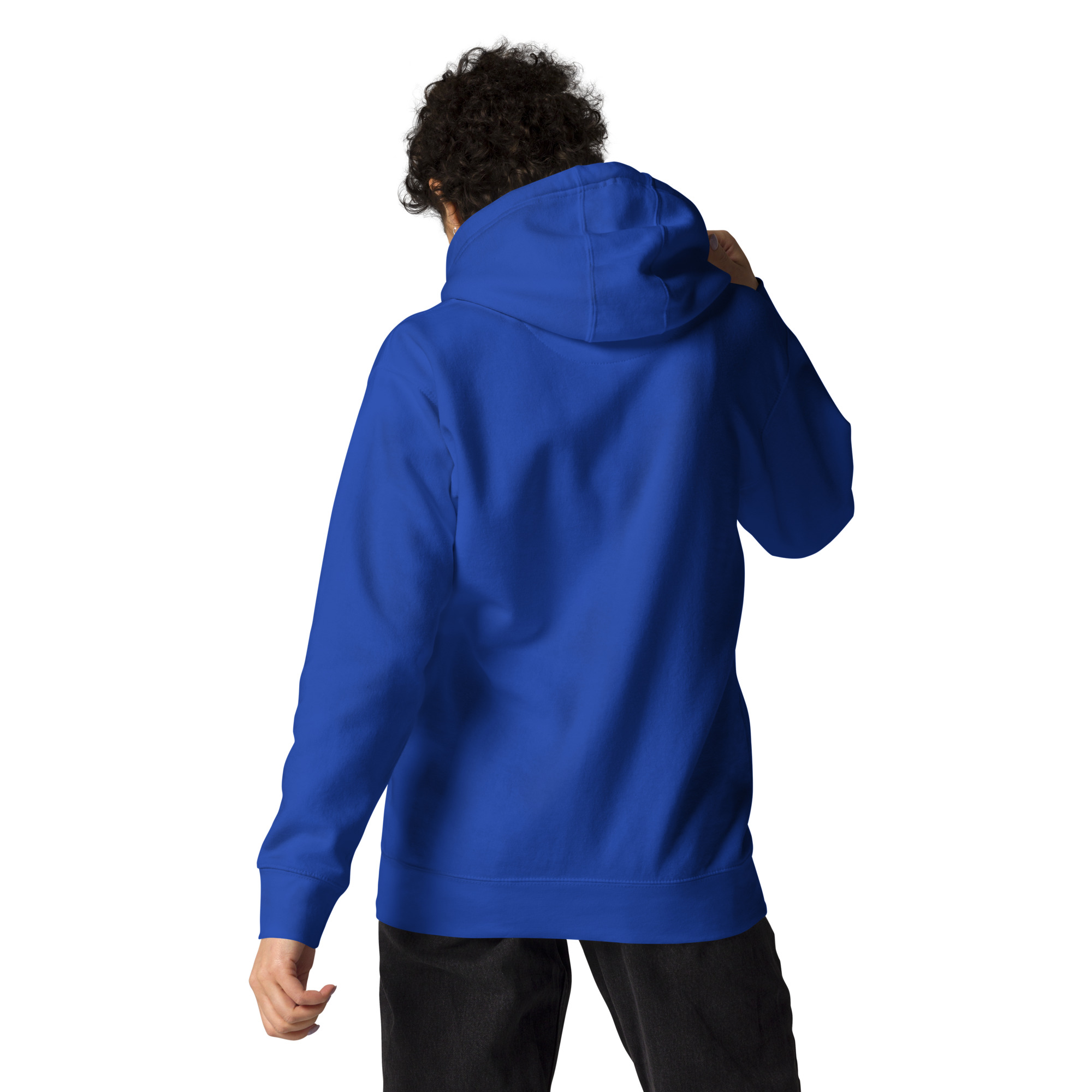 unisex-premium-hoodie-team-royal-back-672bc255e90c7.jpg