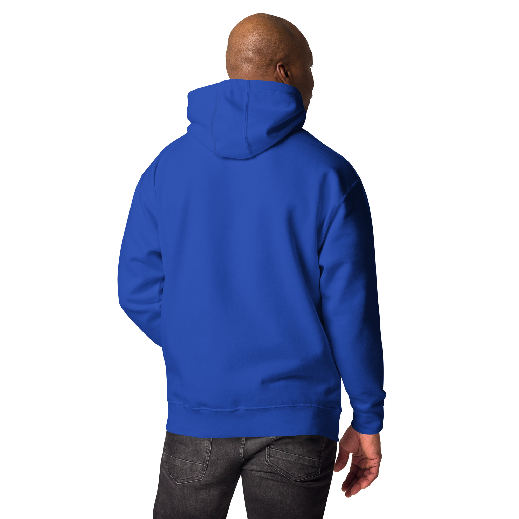 unisex-premium-hoodie-team-royal-back-673b08c330f71.jpg